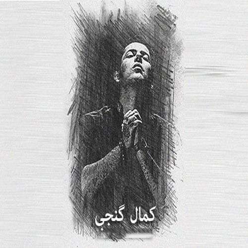 کمال گنجی دلی زامار